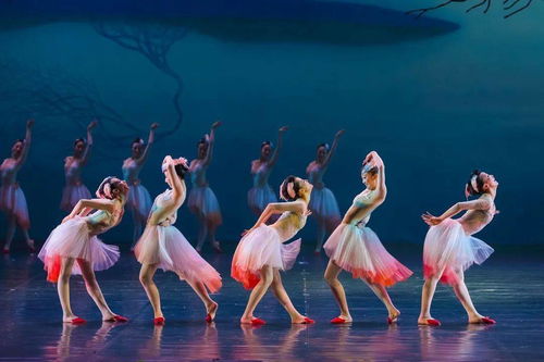 大年初一，舞劇《朱鹮》杭州站唯美鉅獻，開啟新春文藝盛宴